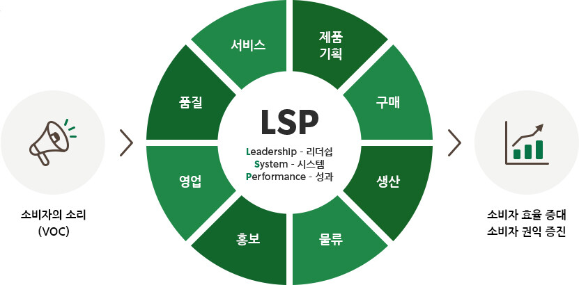 LSP Leadership, System, Performance