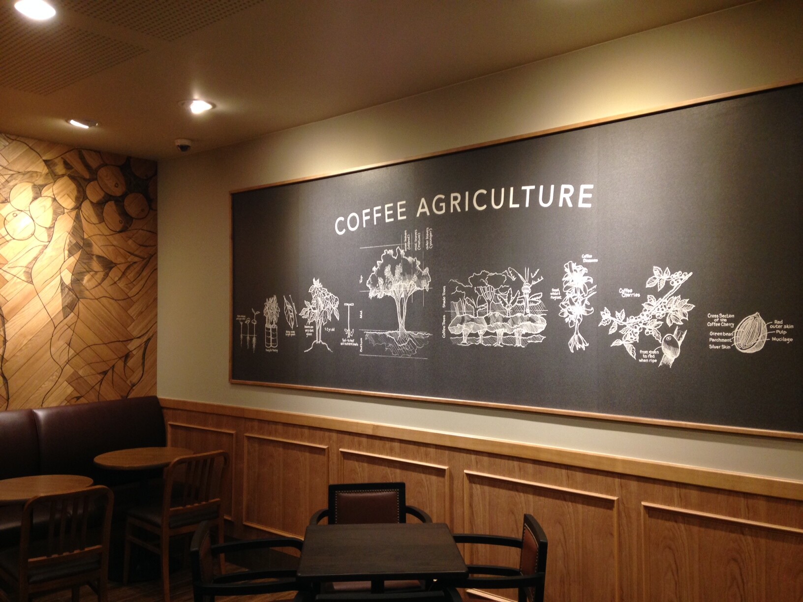 Starbucks Mia Intersection Station — photo 3