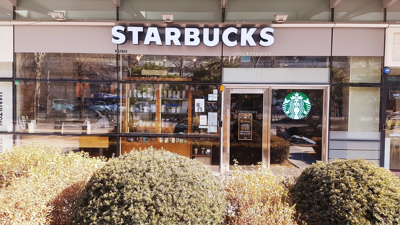 Starbucks Lotte Castle Yeouido — photo 1
